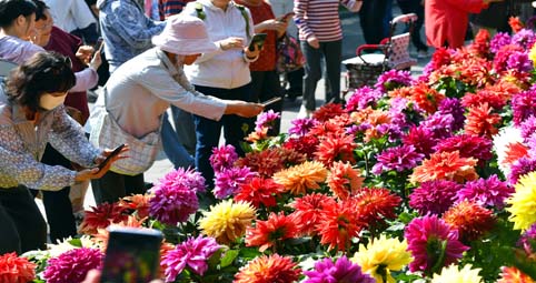 2400余場文旅盛宴慶“雙節(jié)”